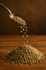 Dried Lentils Bean Bulk Wholesale Size Lot 2 4 6 10 18  Lbs Pantry Diner Kitchen