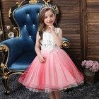 Kids Flower Girls Princess Tulle Tutu Dress Bridesmaid Christmas Party Ball Gown
