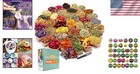 Versatile Dried Flower Set - 40 Bags Of Natural Petals For Crafts   Skin Care