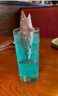 New Outback Steakhouse 5 Inch Gray Grey Shark Limited Edition Plastic Toy Promo