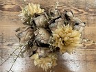 Natural Dried Botanical - Giant Seed Pods - Unique Wedding Centerpiece