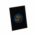 Dragon 3d Hologram Picture  matted   Embossed Type Animated Stereogram 5  X 7 