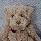 Fao Schwarz Bears That Care Teddy Bear Plush Medium 14-24 In Tan Stuffed Animal