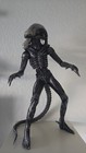 Neca Xenomorph Alien Action Figure 1 4 Scale 2008 Xenomorph