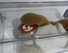 Ty Beanie Babies Old Face Nip 3 1 Mwmt Museum Quality  Tbb Authenticated  