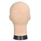 Bald Female Training Head 11  Height 21  Circumference For Wigs Making - Free