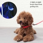Led Dog Collar Flashing Light Up Glow Adjustable Pet Safety Collar Night Usa