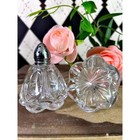 Vintage Molded Glass Salt And Pepper Shakers Set Clear Glass