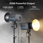 300w Led Video Light Bi Color Studio Continuous Kit Bowen Photography 2700-6500k