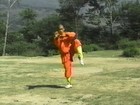 Shaolin Temple  Black Tiger Claw Form