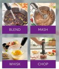 New Princess House Vida Sana 4 In 1 Immersion Blender 5594