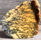 Australian Dendritic Opal 4 75 x3 25  Agate Jasper Lapidary Rough  Slab Cabbing