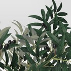 30  Olive Tree In Pot Artificial Plant - Threshold