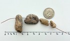 4 Natural Holey Beach Rocks Hag Stone Adder Fossil Wood Bone Bead Fairy  4f Usa