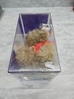 Nsync Justin Timberlake Rare Bear Limited Edition Original Package