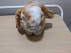 Used Ganz Webkinz Signature Lop Bunny Rabbit Toy Stuffed Animal No Code 2011
