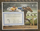 11x14 Photo  Alysheba  1988 Woodward Stakes  Belmont Park  Signed Mccarron Coa
