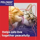 Feliway Multicat 30 Day Cat Calming Plug In 1 62 Fl Oz  pack Of 1   Clear