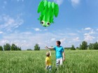 New High Quality Frog Soft Kite Easy Control Outdoor Single Line Kites For Kids