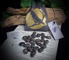25 Raven Rune Stones   Bag Wicca Pagan Witchcraft Viking Divination Faux Leather