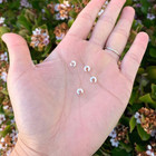 100pcs Crimp Bead Knot Covers 5mm  0 2 Inch  End Caps Sterling Silver Plated Cop