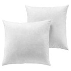 Set Of 2-22x22 Decorative Throw Pillow Inserts-down Feather Pillow Inserts-white