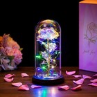 Galaxy Eternal Rose In Glass Dome Led Light Forever Flower Valentine s Day Gift