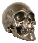 Bronzed Skull Statue Skeleton Figurine Halloween Decor 7  Long Human Head