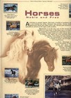 Postal Commerative Society World Of Stamps Horses Noble   Free Nicaragua Stamps