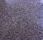 1 Pound Of Fresh Sequim Grosso Lavender - Fresh Dried Buds With Strong Aroma 