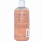 Philosophy Amazing Grace Shampoo  Shower Gel   Bubble Bath 16 Oz New   Sealed