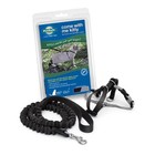 Petsafe Come With Me Kitty Cat Harness And Bungee Leash Black Small