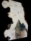 Xl Hardwood Curly Birdseye Maple Burlwood Blank  Figured Maple Burl Turning Wood