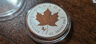1 Oz Silver Coin Maple Leaf Reverse Proof Exquisite Horse Privy Canadian 2014