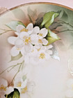 R And S Germany Plate Hand Painted Green White Flowers Decorate