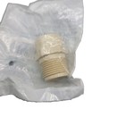Charlotte Pipe   Foundry Male Adapter  Cold Water Only    1 2  Cts Cpvc 2109
