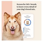 Wisdom Panel Premium Breed Identification   Extensive Health Identification Test