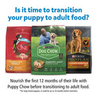 2p Purina Puppy Chow Dry Dog Food  Tender   Crunchy High Protein Real Beef 30lb