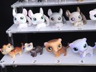 Lps Rodents Littlest Pet Shop Original Authentic Hasbro Vintage Kangaroo