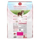 Purina One  plus Skin Coat Formula Sensitive Stomach Salmon Dry Dog Food  31 1lb