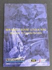 Gundam Carddass Masters Sp5 Foil Perfect Review Japan  Epyon Wing Japan Eb59