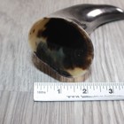 1 Small Polished Cow Horn   Natural Colored  260