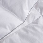 Full queen 300 Thread Count Down Comforter - Martha Stewart  Hypoallergenic