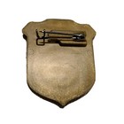 Junior National Park Ranger Plastic Souvenir Badge Petrified Forest Park Pin
