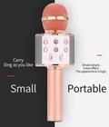 Wireless Bluetooth Karaoke Microphone Portable Handheld Mic Speaker