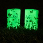 Zippo Glowing Butterflies Design Glow In The Dark Windproof Pocket Lighter  4   