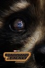 2023 Guardians Of The Galaxy Vol 3 Movie Poster 13x19 Marvel Star Lord Groot     