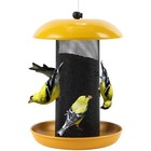 Finch Feeders For Outside  Finch Feeder For Nyjer thistle Seed  2 5 Lbs Seed