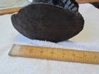 A Large Beautiful Ebony Female Bust - 5  X 9  X 6 1 2  -  Excellent Condition