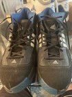 Sebastian Telfair    coney Island Legend    Signed Timberwolves Basketball Shoes